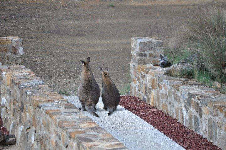 Blue Lake Lodge Steppes Bagian luar foto
